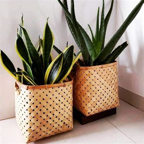 Woven Square Bamboo Planter - URBANO.IN For Your Living Space