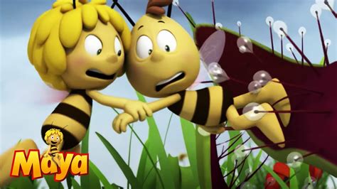 There's Not Much Time To Save Willy! - Maya the bee🍯🐝🍯 - YouTube