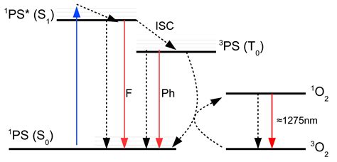 Singlet oxygen detection and photodynamic therapy