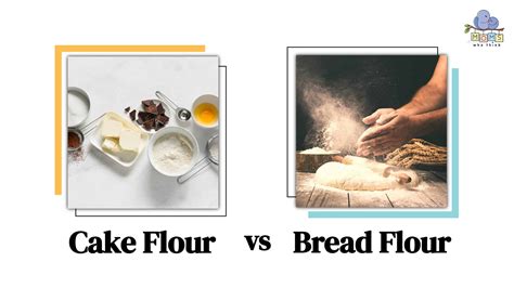 Cake Flour vs. Bread Flour: Which One Should You Use?