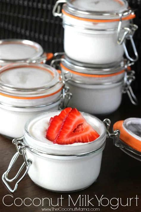 Coconut Yogurt Recipe - Easy 4 Ingredient Recipe!