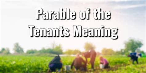 The Parable of the Tenants Meaning & Key Bible VersesLord's Library