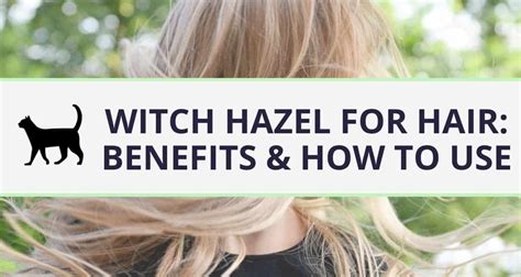 50 Unbelievable Benefits of Witch Hazel: Ultimate Guide 2023