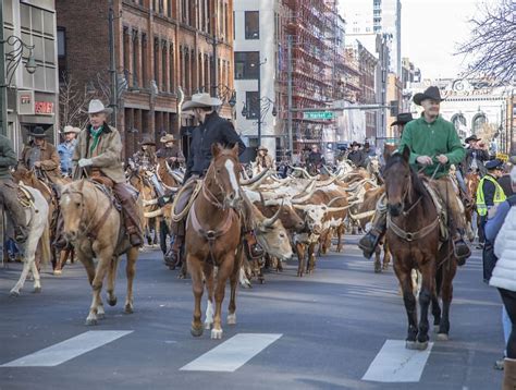 National Western Stock Show Parade | RTD-Denver