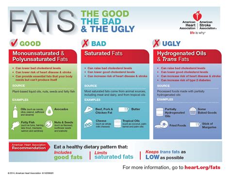 Types Of Fats Infographic