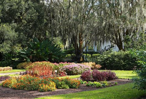 The 10 Most Romantic Things To Do In Orlando, Florida - FastTreck ...