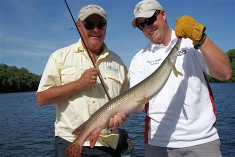 Try Lake Ozark gar for summer angling fun | RiverBender.com