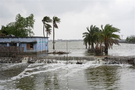 Slow Calamity: A coastal landscape transformed by salinisation ...