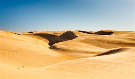 Oceano Dunes – Environmental Philosophy