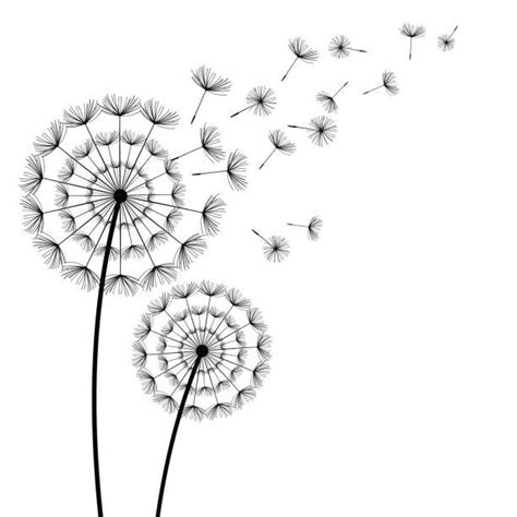 Dandelion clipart dandelion seed, Dandelion dandelion seed Transparent FREE for download on ...