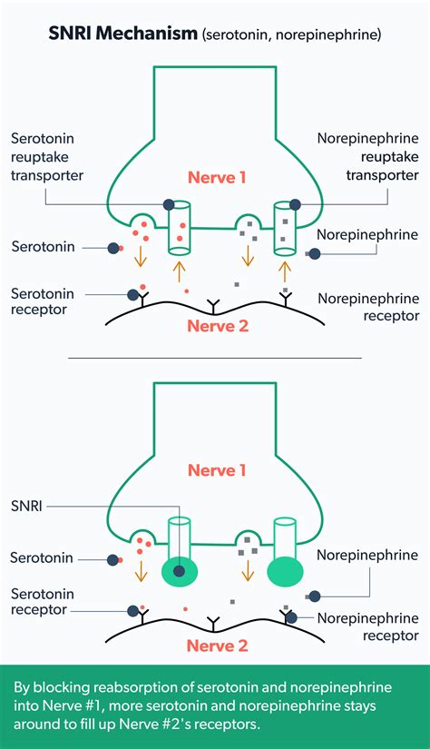 SNRIs: What Are They, Uses, Side Effects, and Risks | Ro