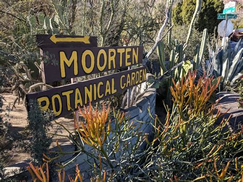 Moorten Botanical Garden In Palm Springs – MK Library