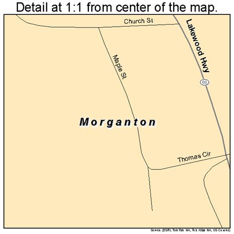 Morganton Georgia Street Map 1352724