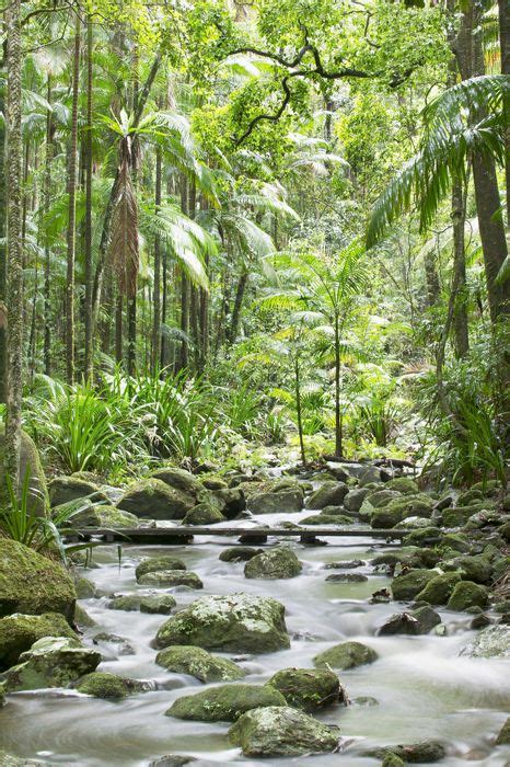 √ New South Wales National Parks