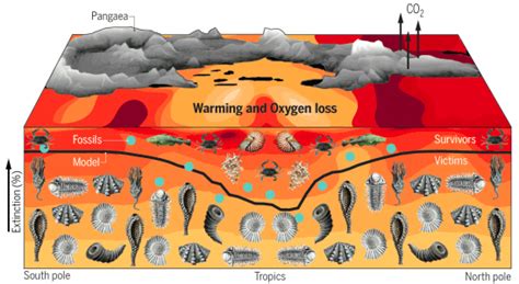 End Permian Mass Extinction Causes and Effects