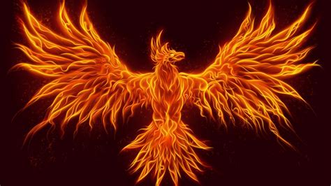 fantasy art, fire, fire, phoenix, birds, HD Wallpaper | Rare Gallery