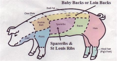 Edible Parts Of A Pig - The Fact Site | Pig food, Pig, Spare ribs