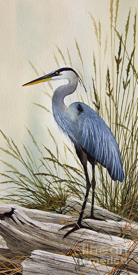 116 best images about Herons. paintings .photos. drawings on Pinterest ...