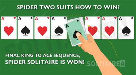 Play Spider Solitaire 2 Suits and Learn Gameplay Strategy (2023)