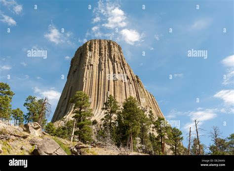 Monolith, phonolite volcanic rock, basalt, light forest of Ponderosa ...