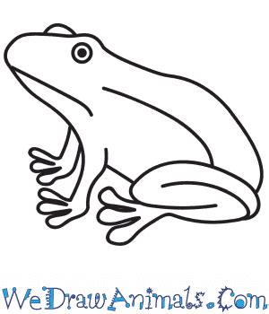 How To Draw A Realistic Frog