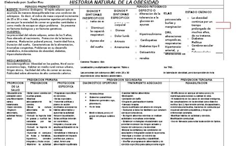 Historia Natural de La Obesidad | Obesidad | Diabetes mellitus