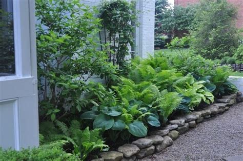 Image result for backyard garden ferns | Shade garden, Woodland garden, Shade plants