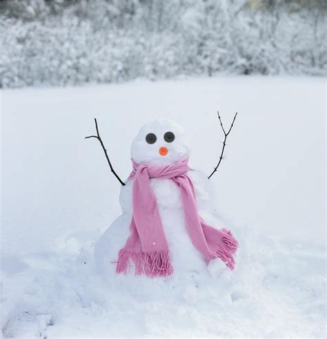 Enjoying a Snow Day (or two) | WowScience - Science games and activities for kids