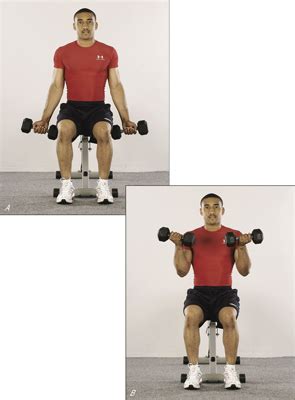 How to Tone Up Your Biceps with Seated Curls - dummies