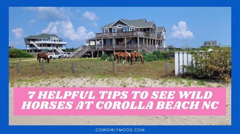 7 Helpful Tips to See Wild Horses at Corolla Beach, NC