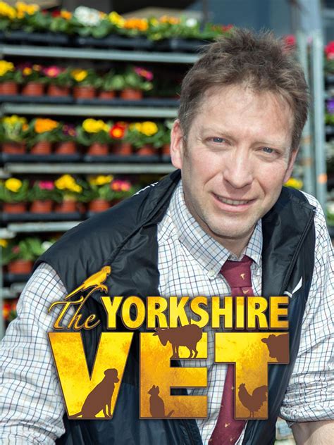 The Yorkshire Vet - Rotten Tomatoes