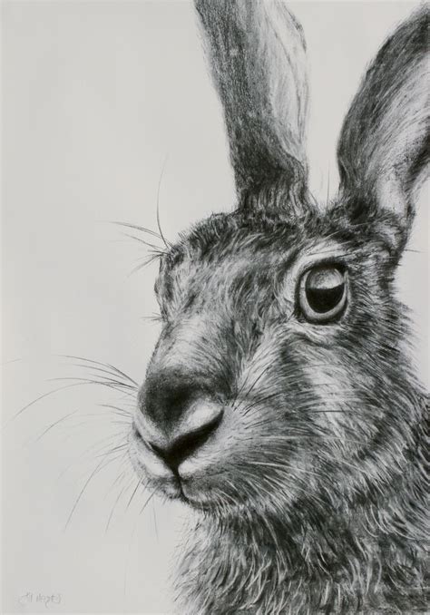 hare artwork | JM hare drawing 6 « Contemporary Art Gallery – Wandsworth | Oil ... | Hare ...