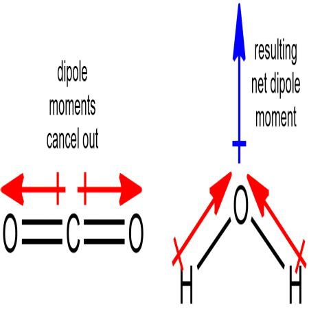 How do you find a molecule's dipole and net dipole moment? | Study.com