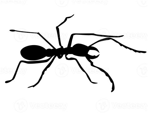 ant silhouette isolated 13184295 PNG