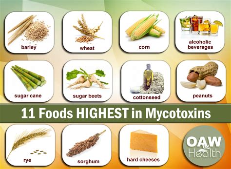 11 Foods Highest in Mycotoxins