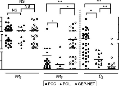 (A) sst 2 , sst 1 , sst 3 , sst 5 and D 2 mRNA expression in | Download ...