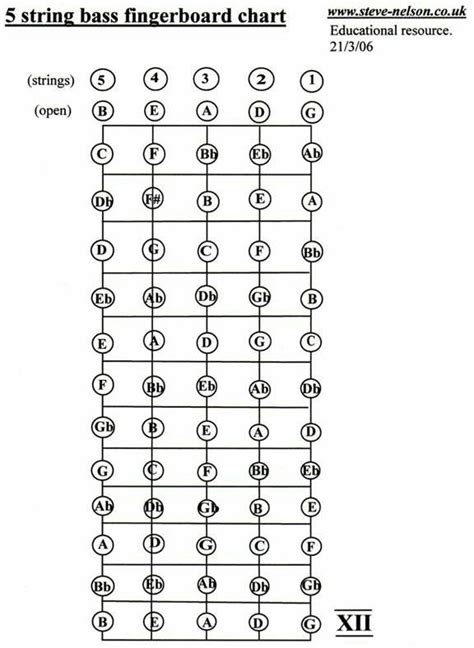 Taking Easy Lessons with an Acoustic Guitar | Bass guitar notes, Guitar notes, Guitar fretboard ...