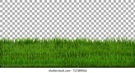 Grass Border Isolated Background Stock Vector (Royalty Free) 717389056 ...