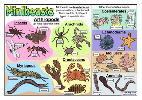 Biology Posters | Poster Template