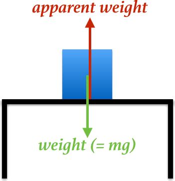 What is Weight?