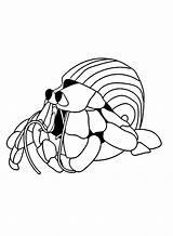 Hermit Crab Underwater Coloring Page  Free Printable Pages sketch template