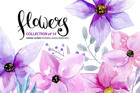 Watercolor purple & pink flowers ~ Illustrations ~ Creative Market