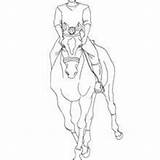 Dressage Coloring Pages At GetColoringscom  Free Printable Colorings sketch template