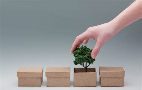 Sustainable Packaging