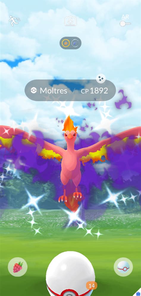 Shiny shadow Moltres enabled : r/TheSilphRoad