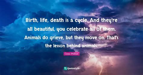 Birth, life, death is a cycle. And they're all beautiful, you celebrat ...