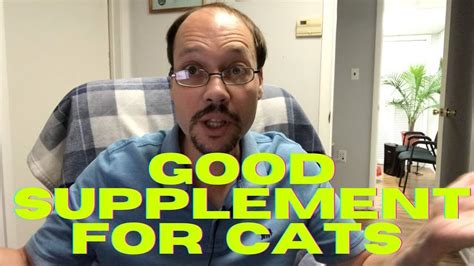 Supplement For Cats With Kidney Disease. 3 Tips For CKD Feline Health ...