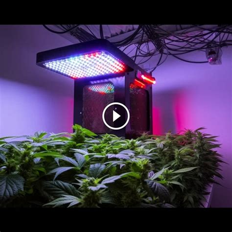 Top 10 Best Grow Room Heaters For Optimal Plant Growth
