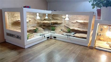 Very cool vivarium #beardeddragondiy | Reptile terrarium, Snake ...