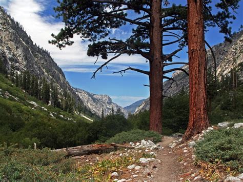 Sequoia National Park - Trailhead Traveler